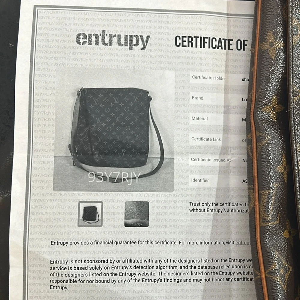 Louis Vuitton RunWay Bag - Picture 16 of 16